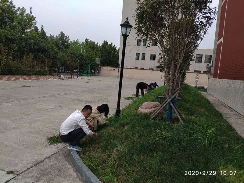 河南j9九游会官方登录有限公司总部除草活动